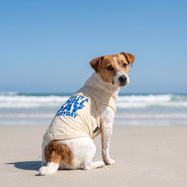 Dog wearing a dog t-shirt with text on the beach