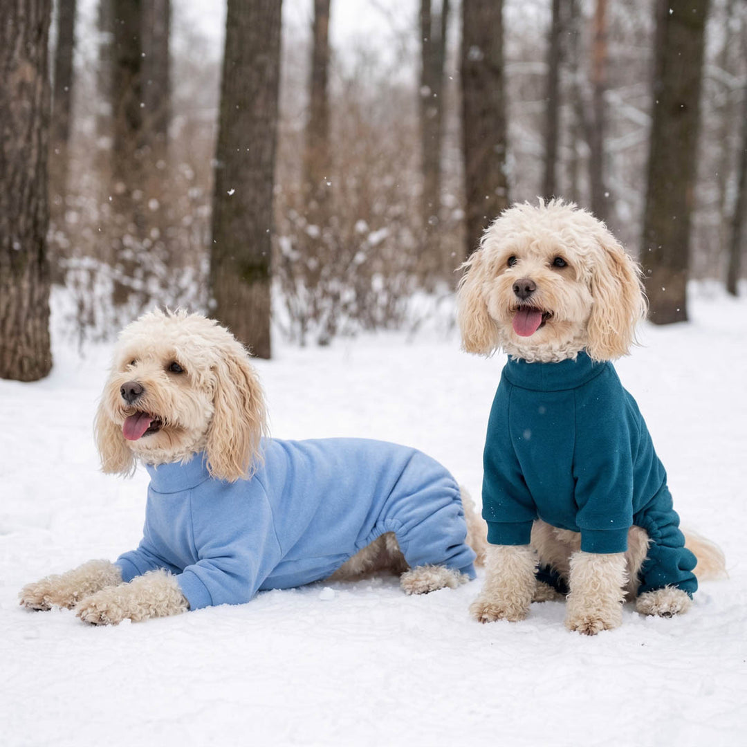 Two small poodle dogs in a snowy forest, one lying down wearing a light blue pajamas for dogs and the other sitting wearing a dark teal dog pjs