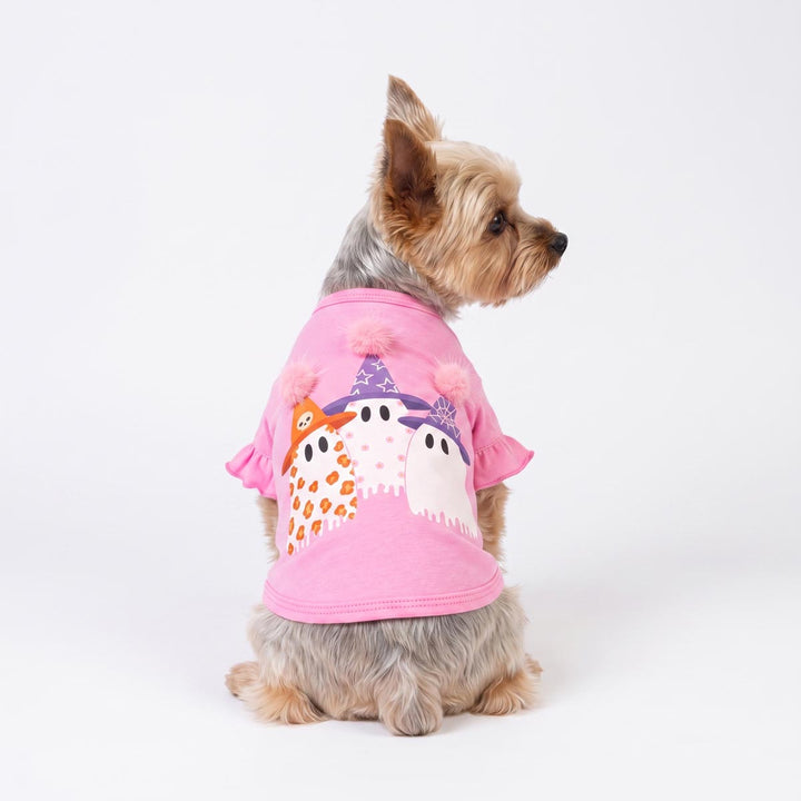 Small Yorkshire Terrier dog wearing a pink short-sleeve dog t-shirt with a graphic of three ghost wearing party hats, photographed against a seamless white studio background