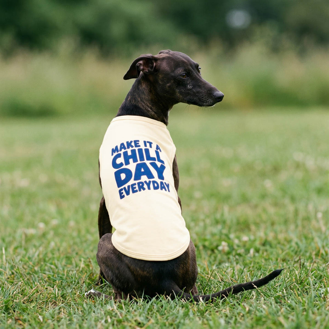 Back view of a dog sitting a on a grassy field with a dog t-shirt with 'make it a chill day everyday' lettering