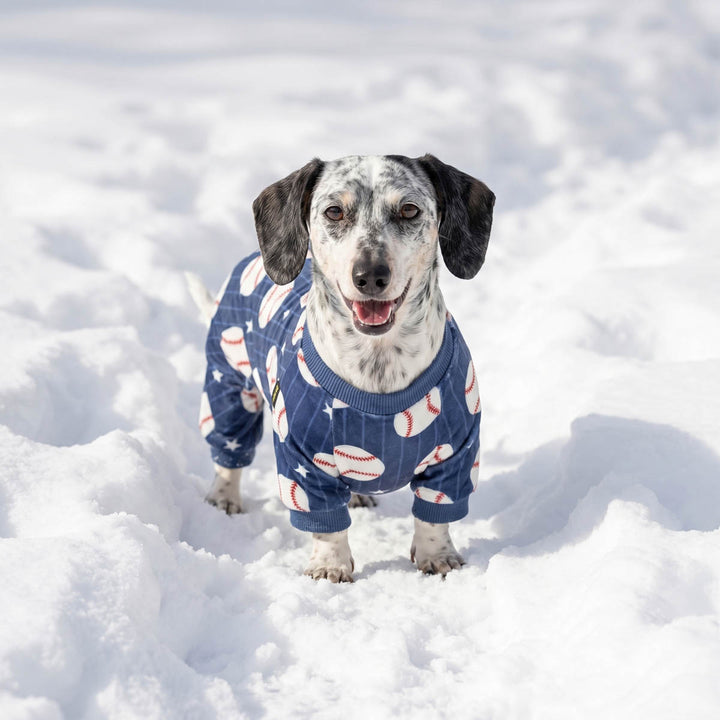 Dachshund wearing a cozy baseball dog pajamas on a snowy background