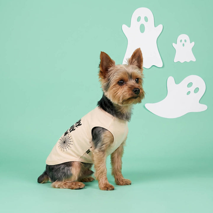 Yorkie wearing a spooky dog Halloween tshirt and sitting on a green backgroud with a few ghosts