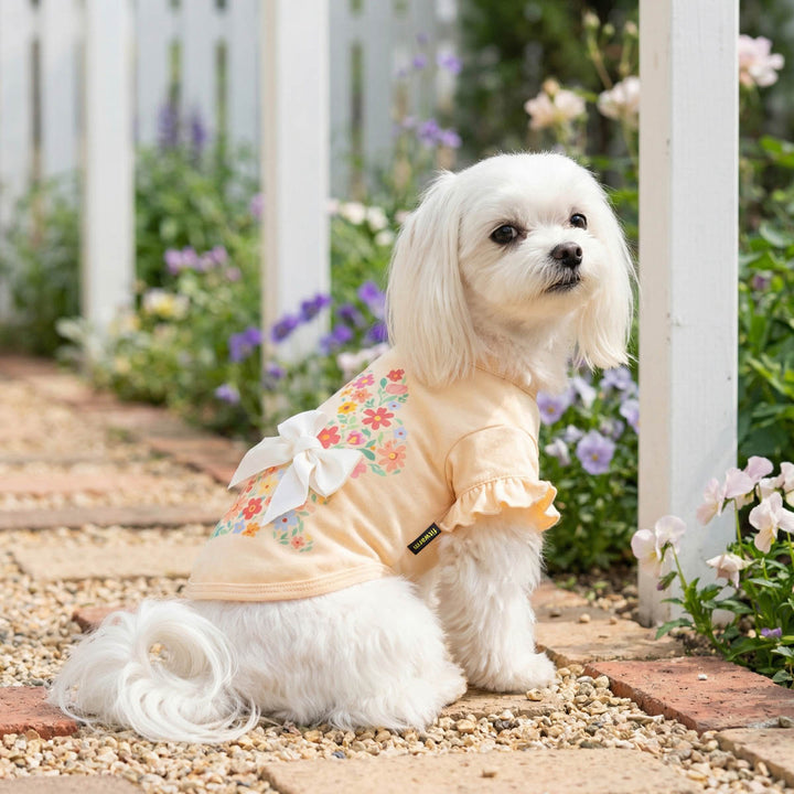 Small white dog wearing a floral shirt for dogs sitting on a garden path with flowers and greenery in the background