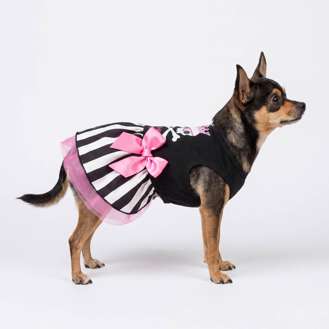 Small black and white striped dog Halloween dress with a large pink bow and pink tulle trim, modeled by a black and tan dog on a white studio background