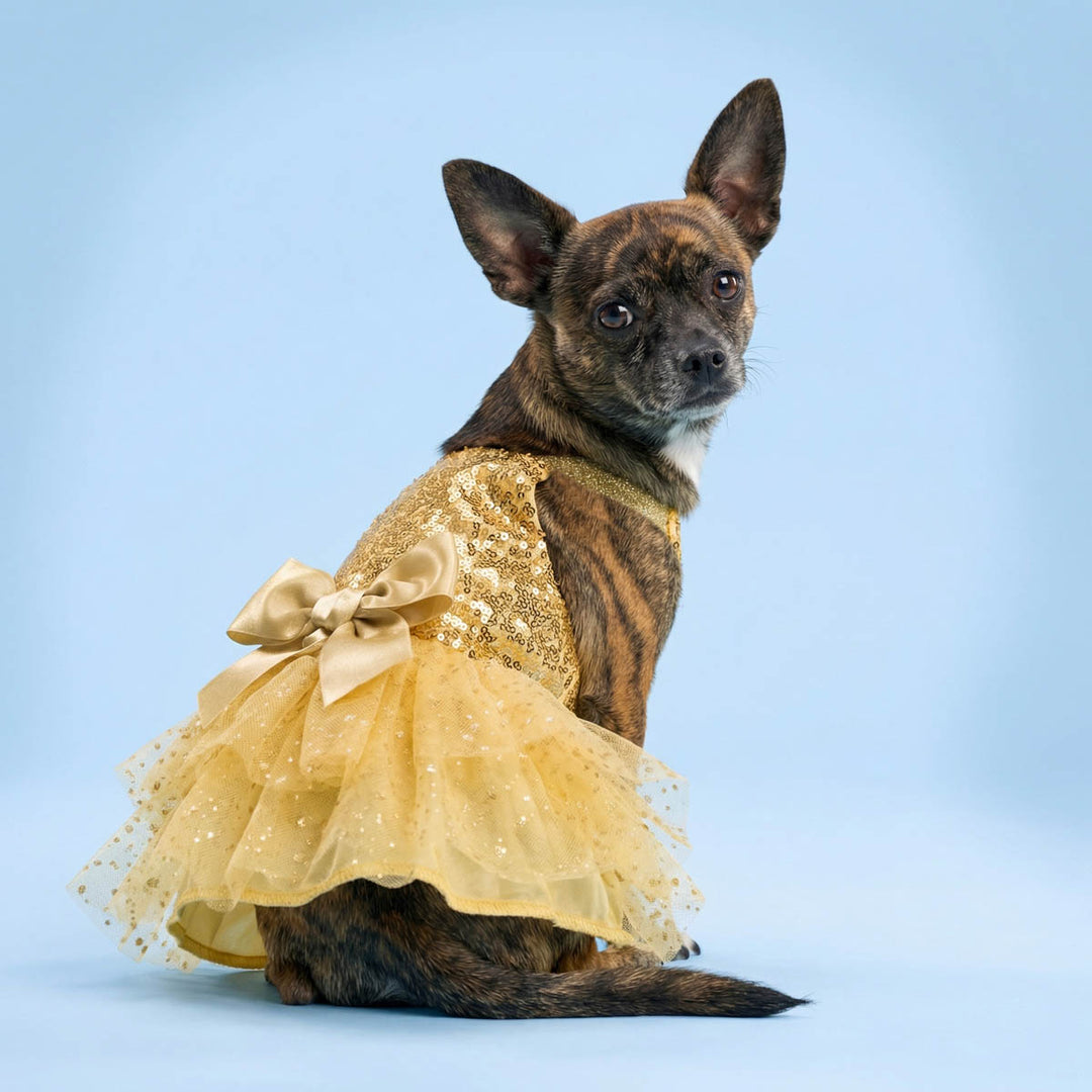 Sparkly Sequin Dog Tutu Dress | Holiday Tutu for Small Dogs Fitwarm Sparkly Sequin Dog Tutu Dress | Holiday Tutu for Small Dogs Fitwarm