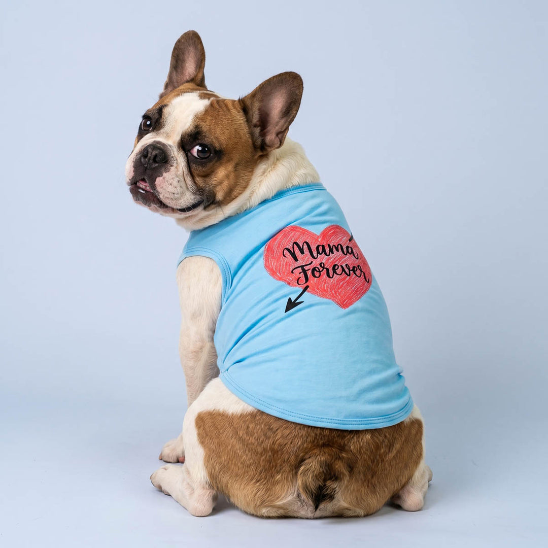 French Bulldog looks back with a dog summer shirt with heart print and 'Mama forever' lettering