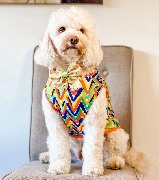 Dog Easter Outfit - Fitwarm