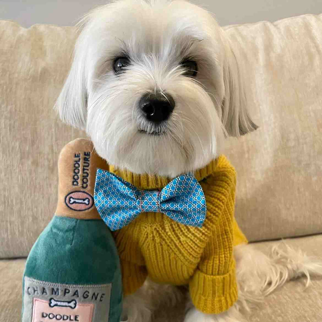 Dog Sweater - Morkie Turtleneck Dog Sweater - Fitwarm