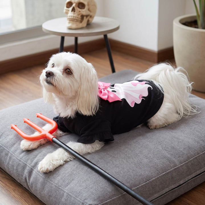 Small white dog wearing a black Halloween dog tshirt with a pink bow and ghost graphic, lying on a gray cushion in a home setting while holding an orange trident