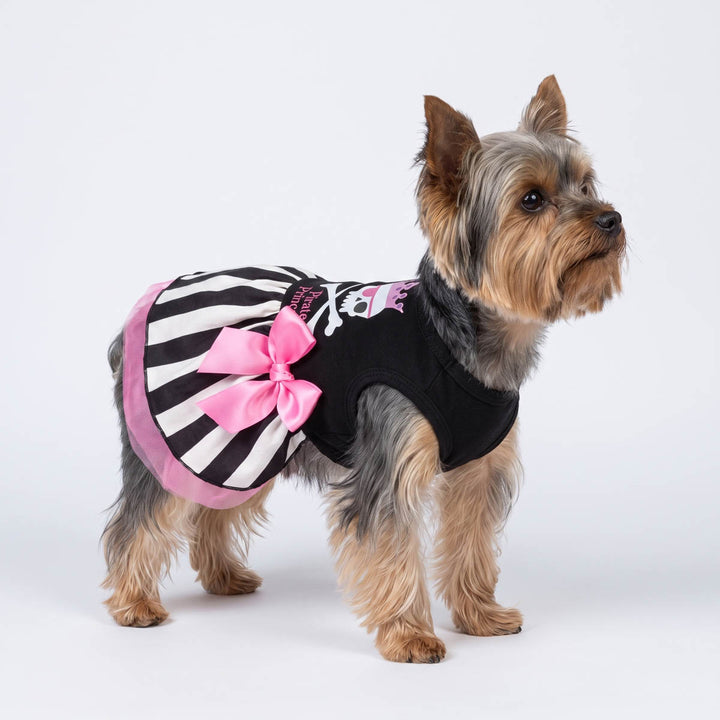 Small Yorkshire Terrier dog wearing a black and white striped dress for dogs with a large pink bow and pink trim, standing against a plain light gray studio background