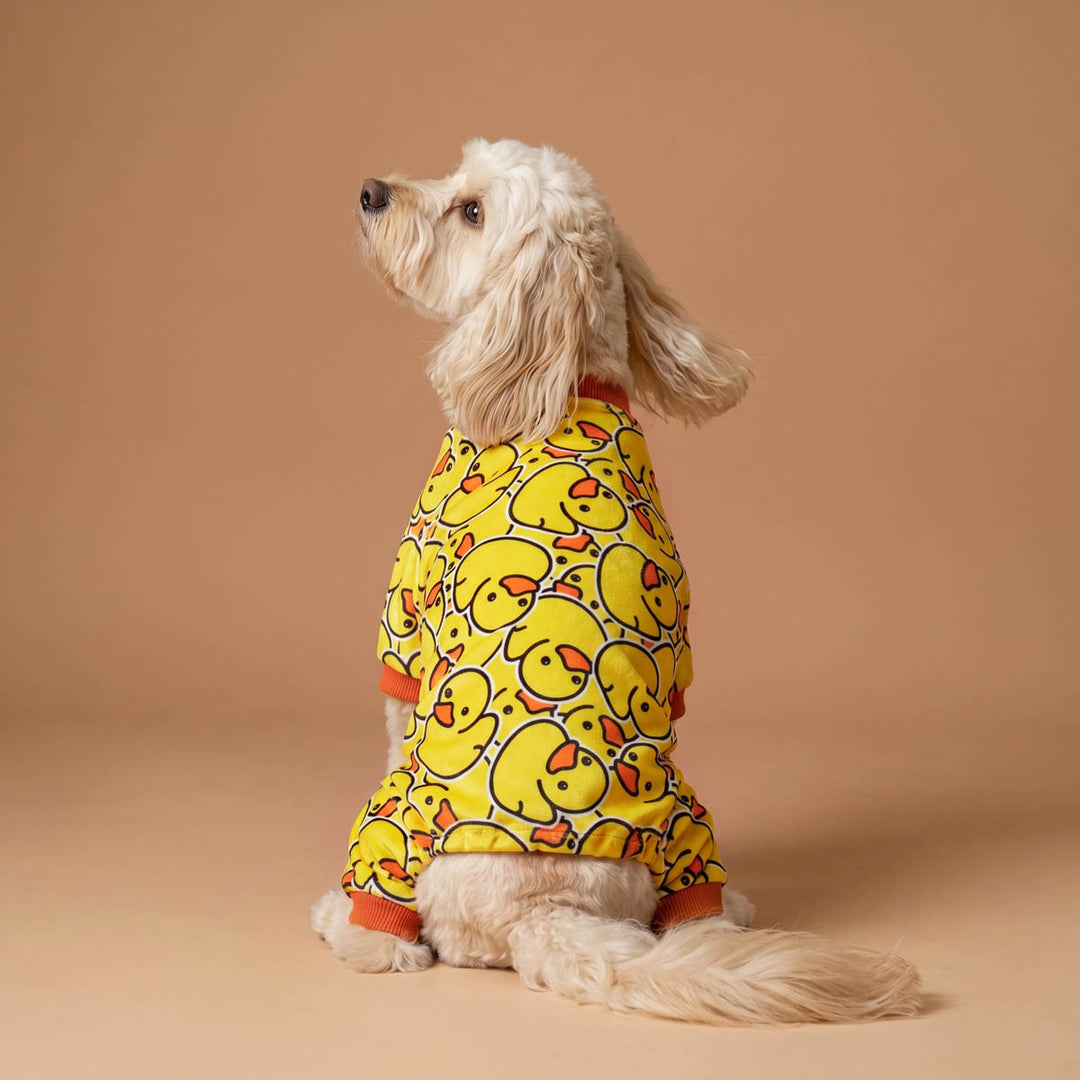 Small white dog wearing a yellow pajama for dogs with a cartoon duck pattern, photographed against a solid warm beige studio background