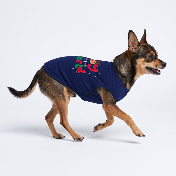 Chihuahua running on a white background with a Christmas dog tank top with 'Joy the world' lettering