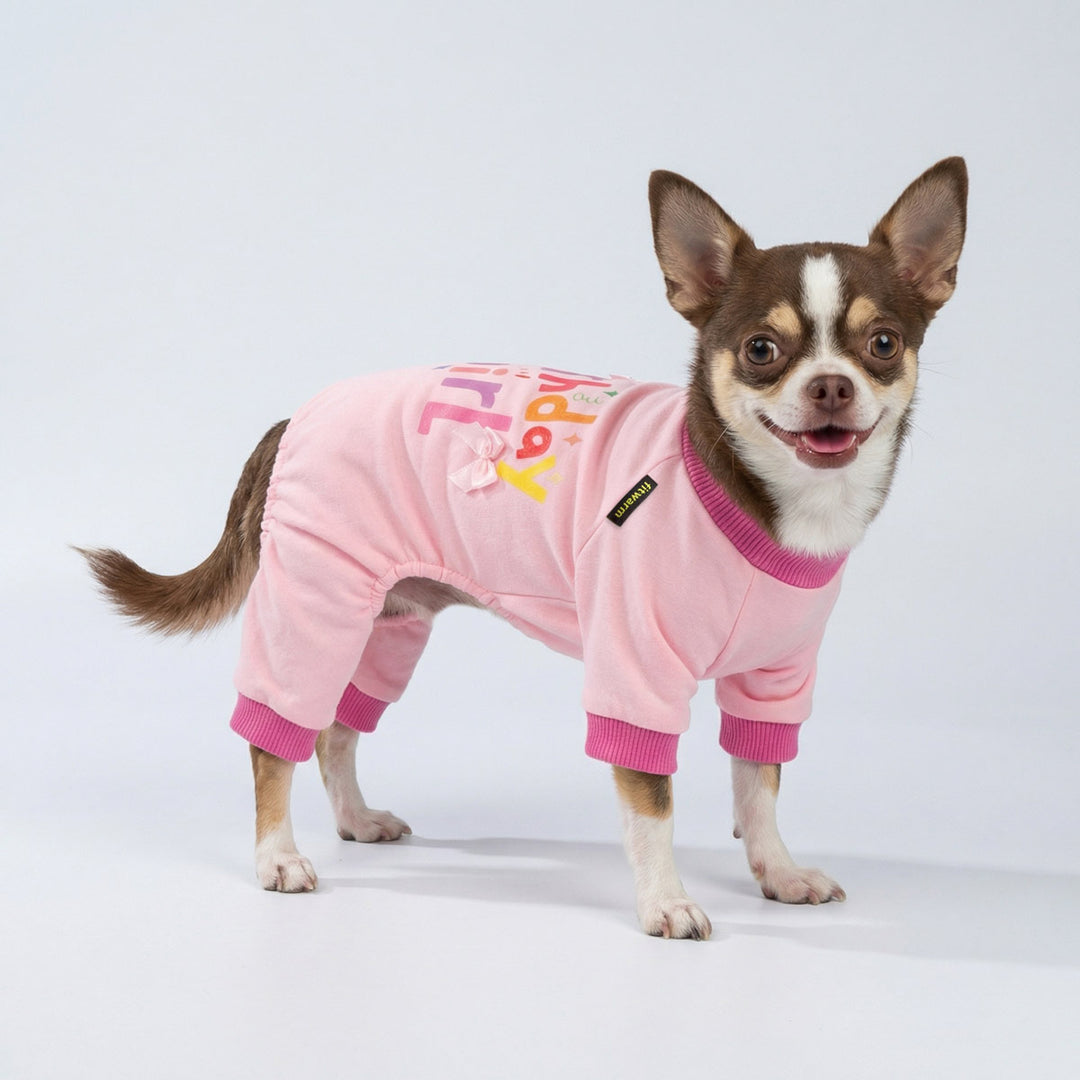 Chihuahua standing in white background with pink dog birthday pjs