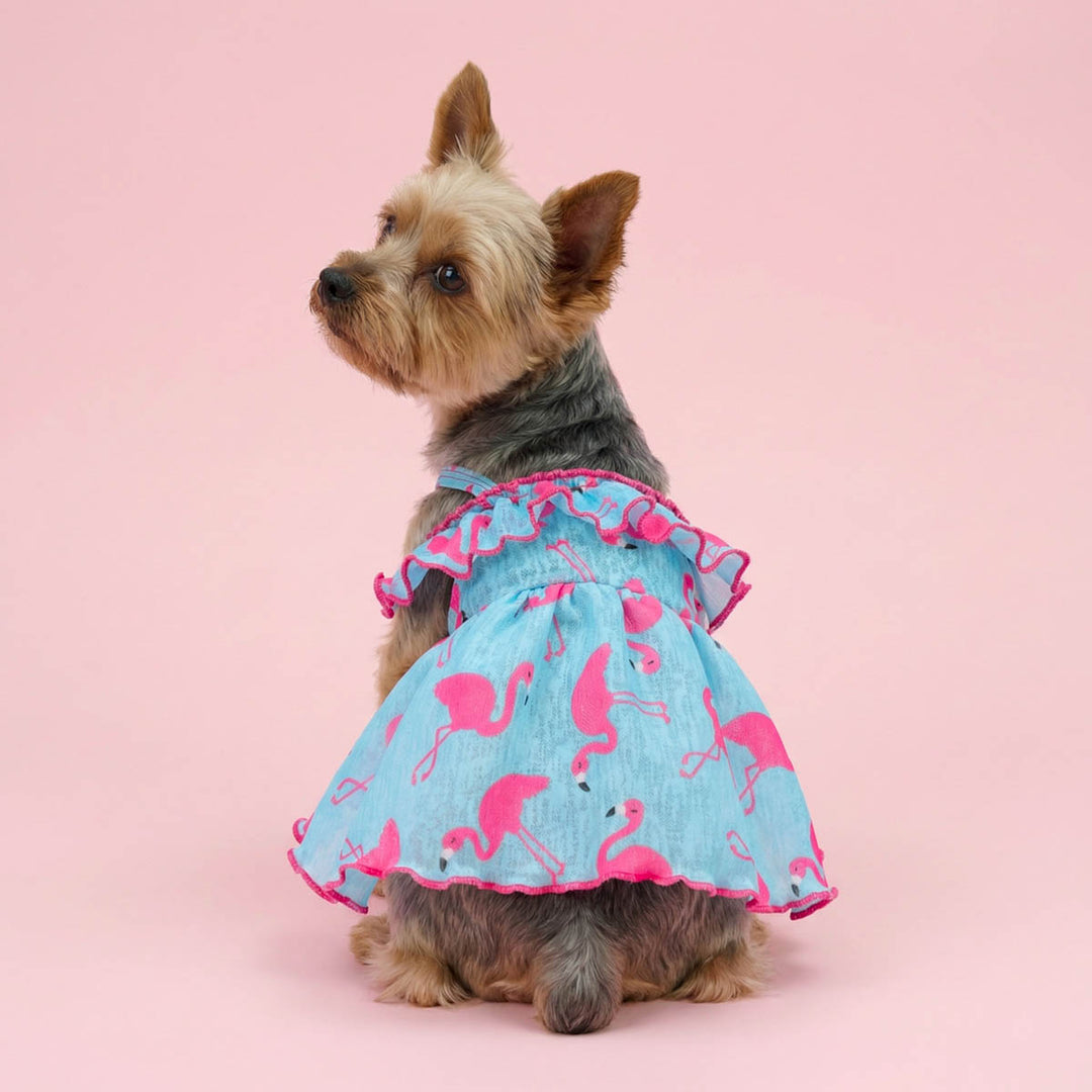 Ruffled flamingo dog tutu dress on a small Yorkie sitting on a pink background
