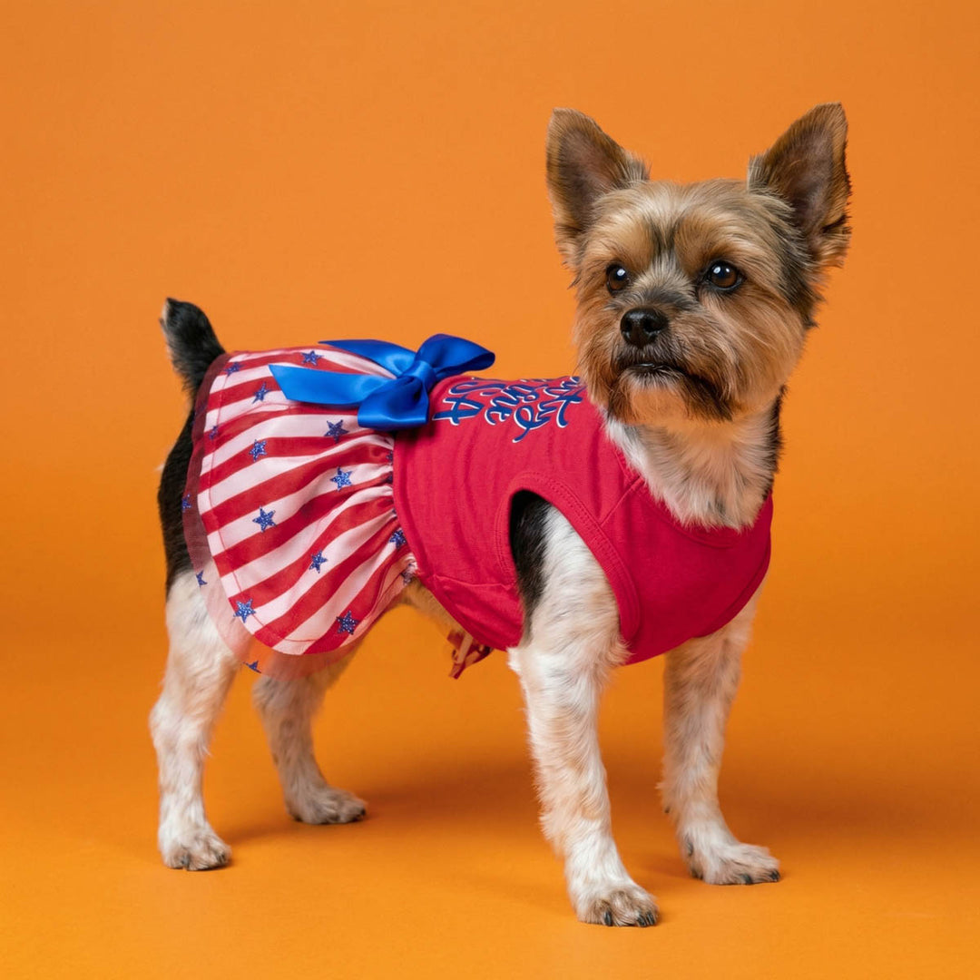 Yokrie wearing a red and white striped dog dress with a blue bow on an orange background