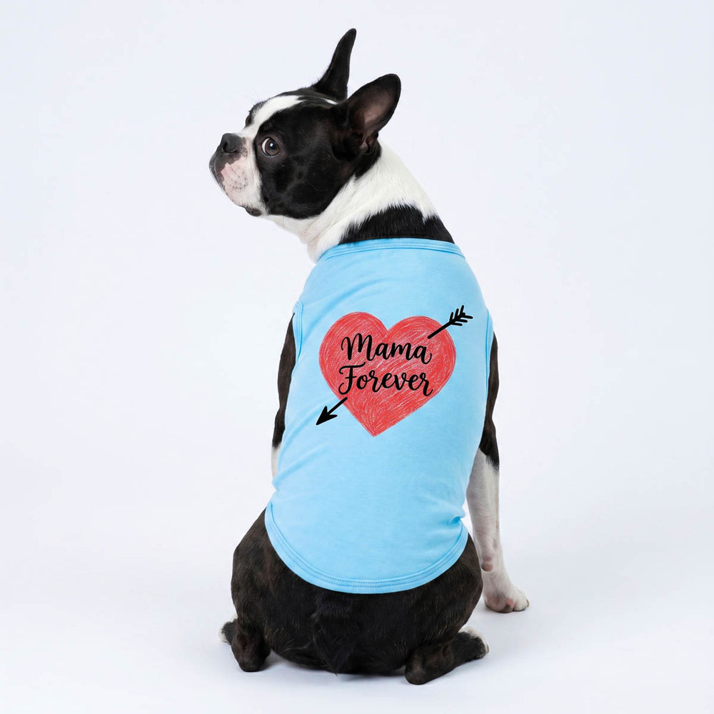 Boston Terrier wearing a blue dog tank top with 'Mama Forever' lettering in a white background