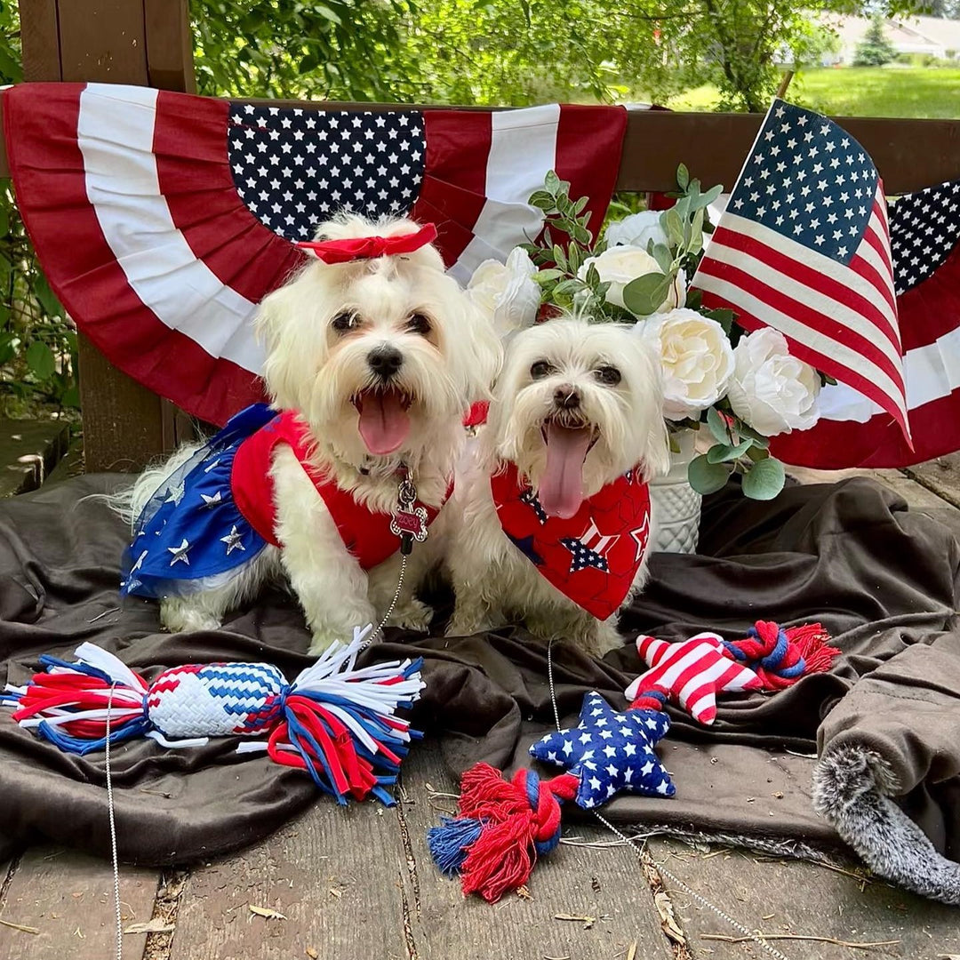 Fourth of July Dog Clothes - Fitwarm