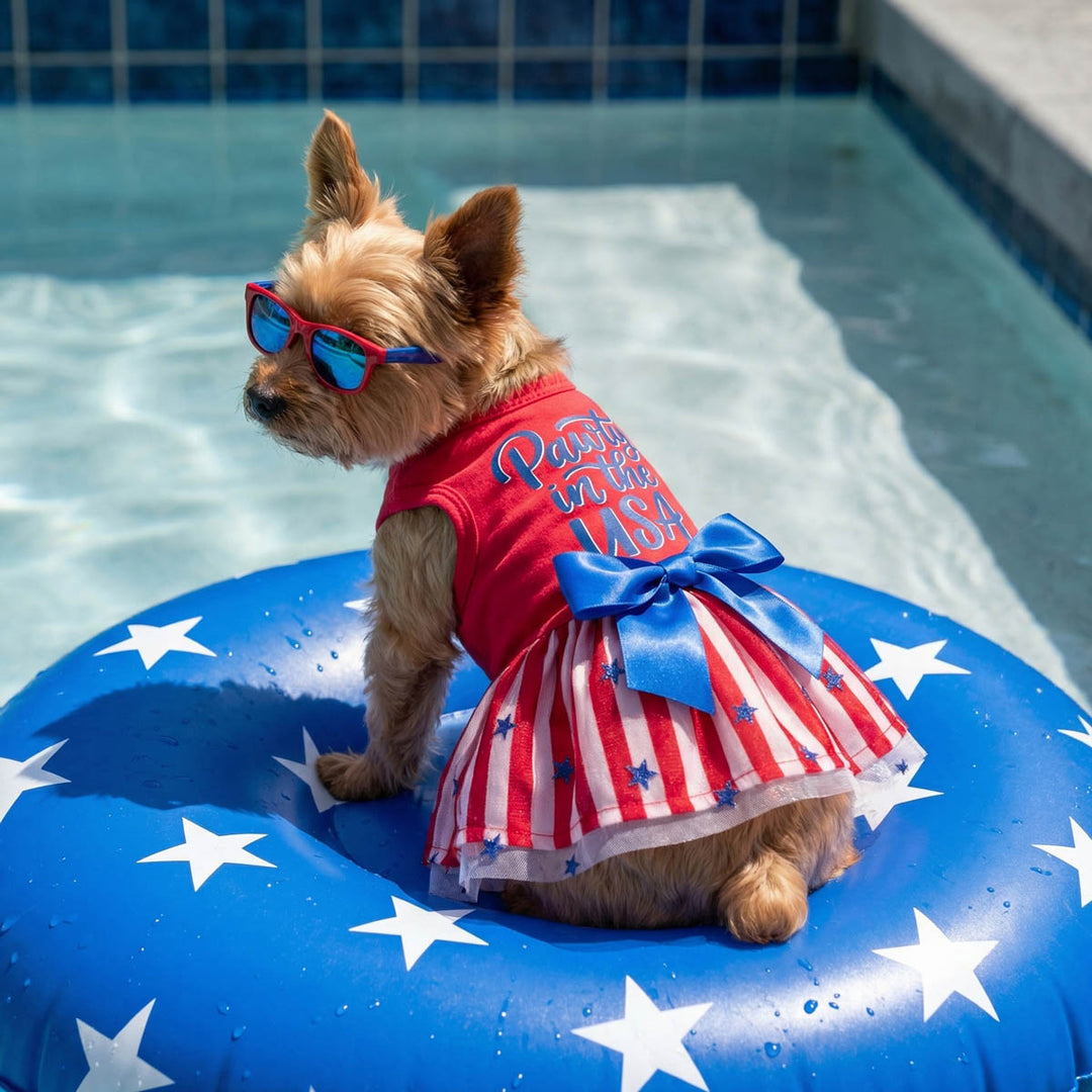 Dog in a red and white dress for dogs with sunglasses on a blue star-patterned float by a pool