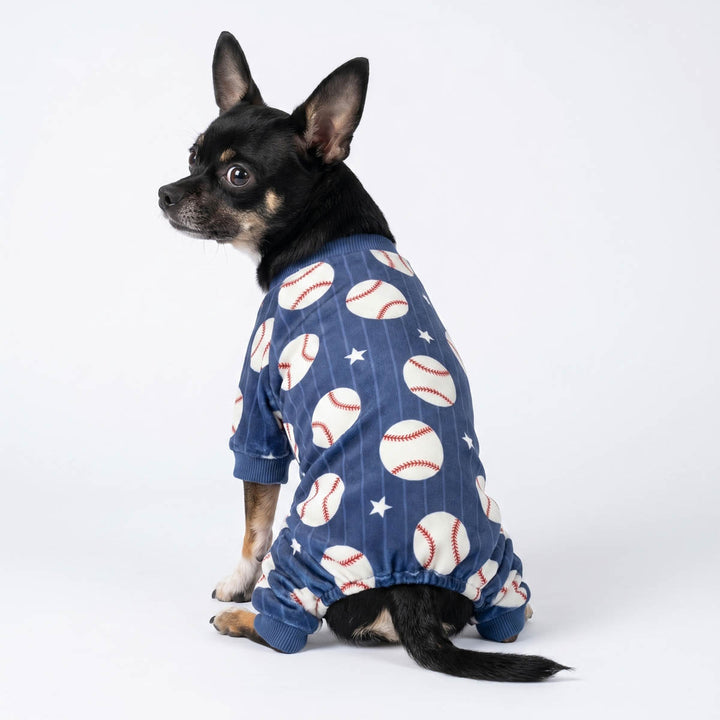 Chihuahua sitting on a white background in a baseball dog pjs