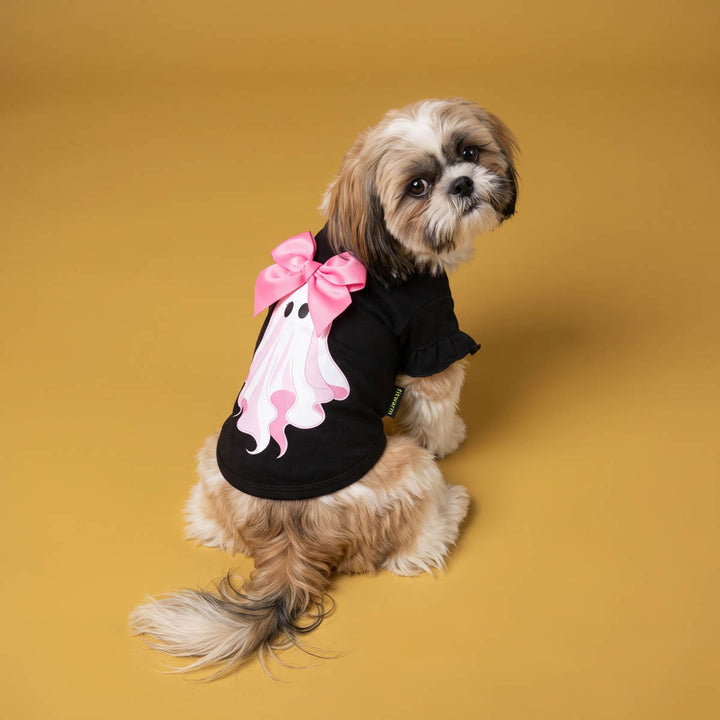 Small fluffy dog wearing a dog Halloween t-shirt with a pink ghost graphic and large pink bow, photographed against a solid mustard yellow studio background