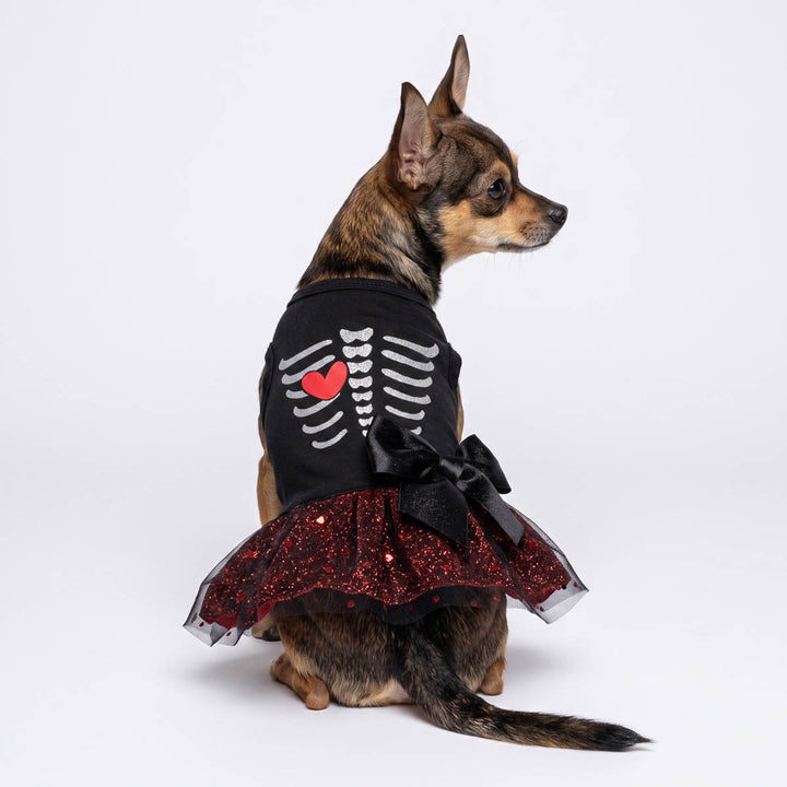 Back view of small dog wearing a black dog tutu with a white skeleton rib graphic and a red heart, paired with a red glitter tutu skirt and black bow
