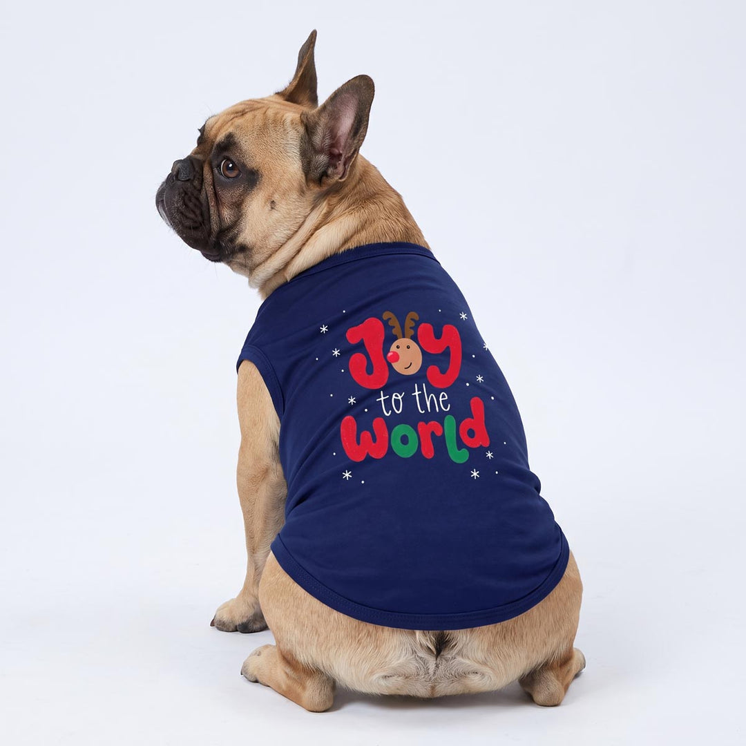Back view of French Bulldog in a blue shirt for dogs with reindeer print and 'Joy to the world' lettering