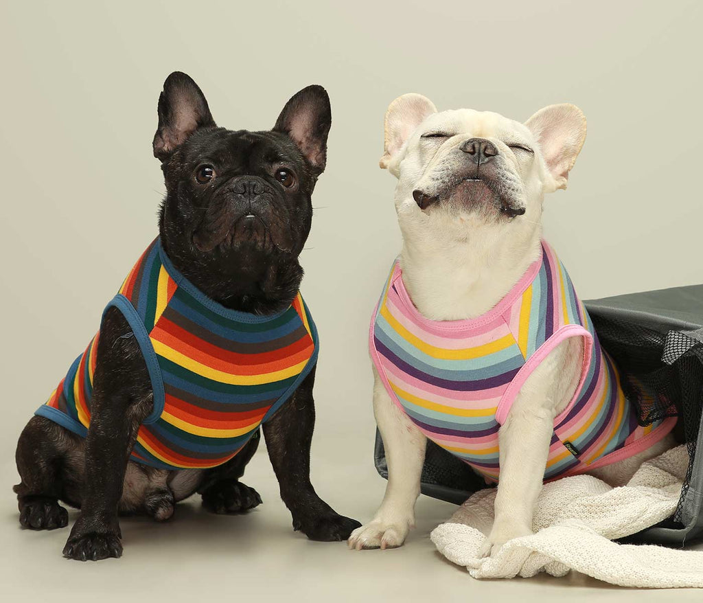 2-Pack Pink Striped French Bulldog Shirts - Fitwarm