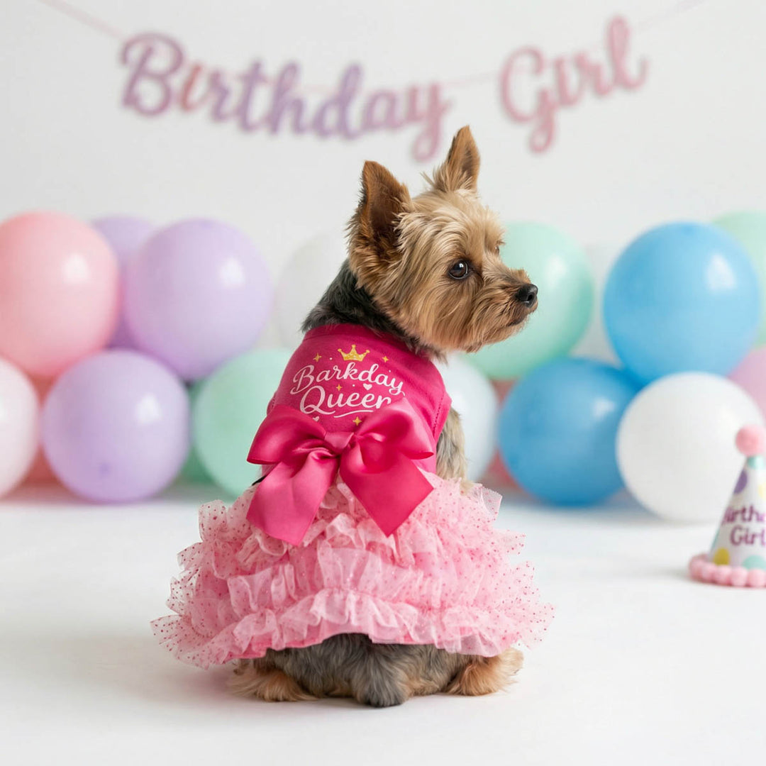 Back view of a Yorkie in a dog birthday tutu dress with 'Barkday Queen' lettering