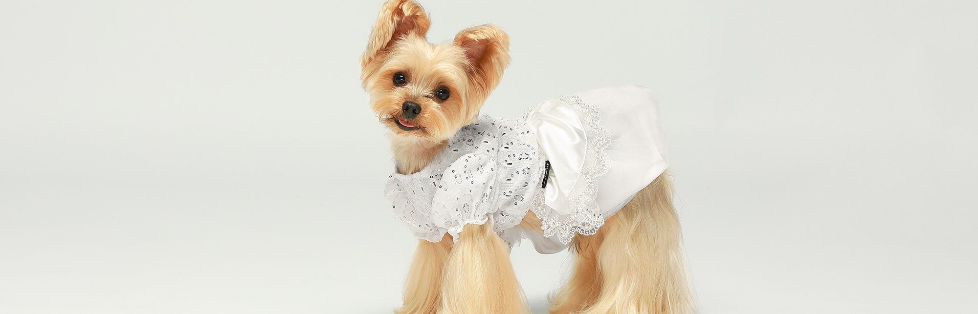 Girl Dog Dresses - Fitwarm
