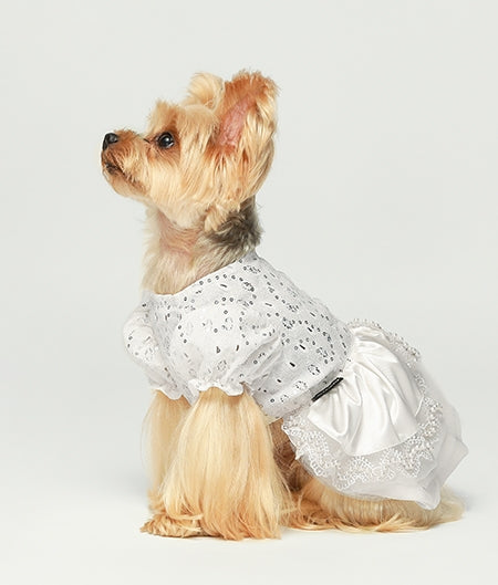 Girl Dog Dresses - Fitwarm