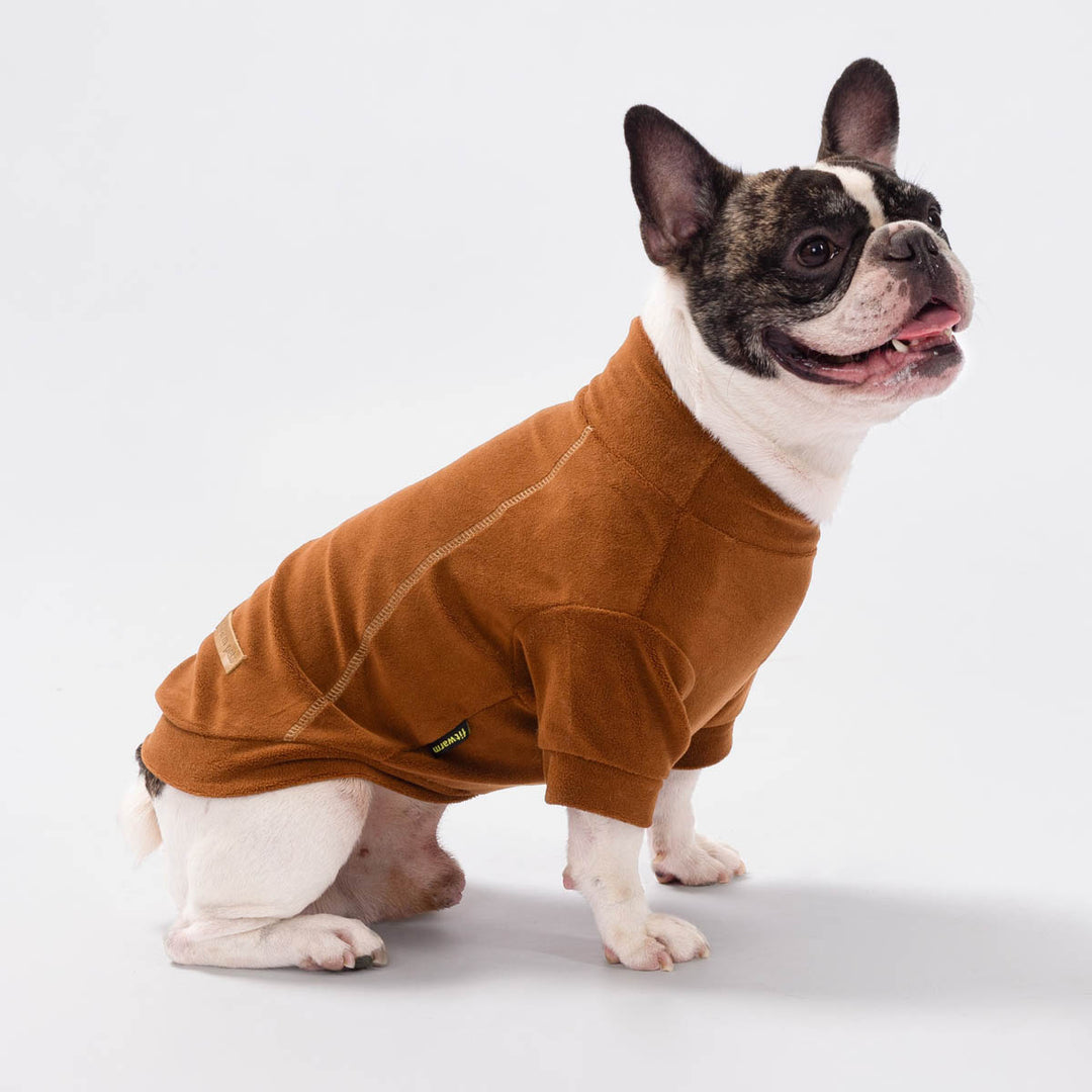 French Bulldog sitting on the ground with cozy dog turtleneck sweater