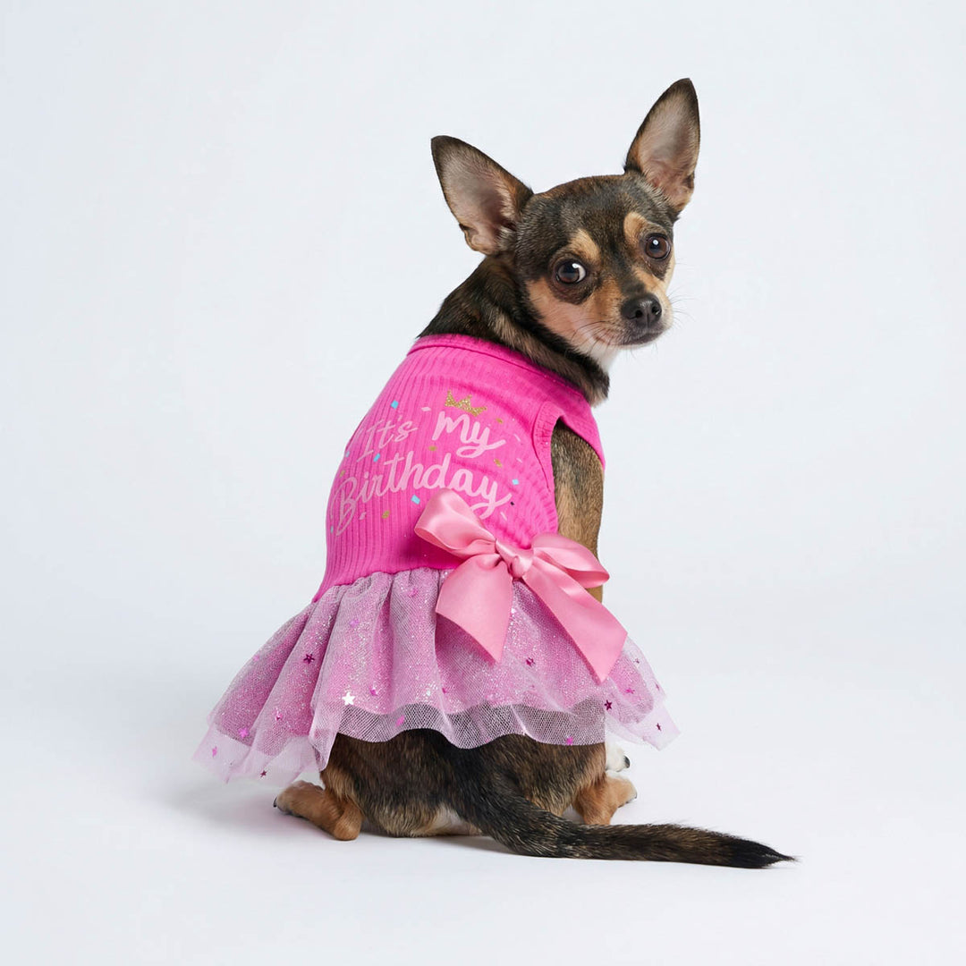 It's My Birthday Dog Dress It's My Birthday Dog Dress