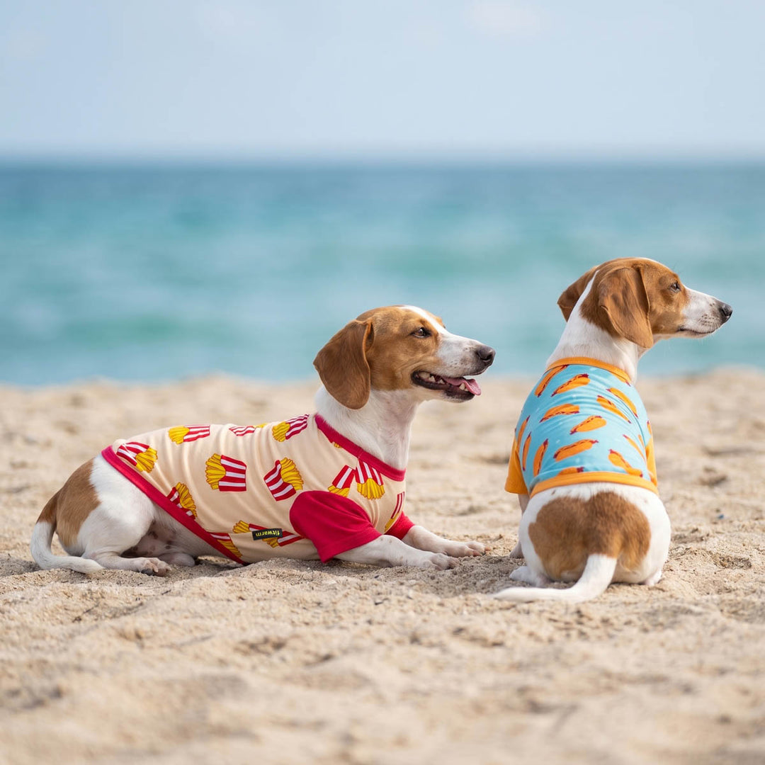 Two dogs in colorful dog shirts sitting on a sandy beach with ocean in the background