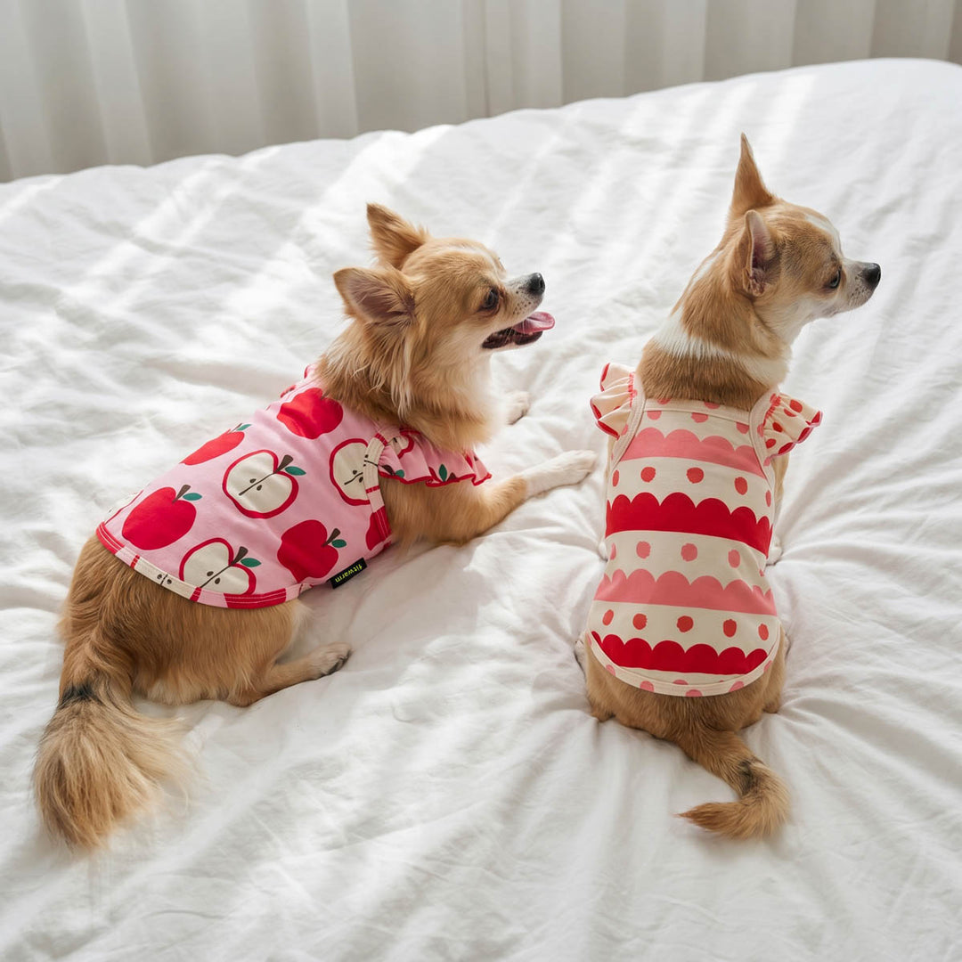 Two Chihuahuas sitting on the bed with 2 pack apple shirt for dogs