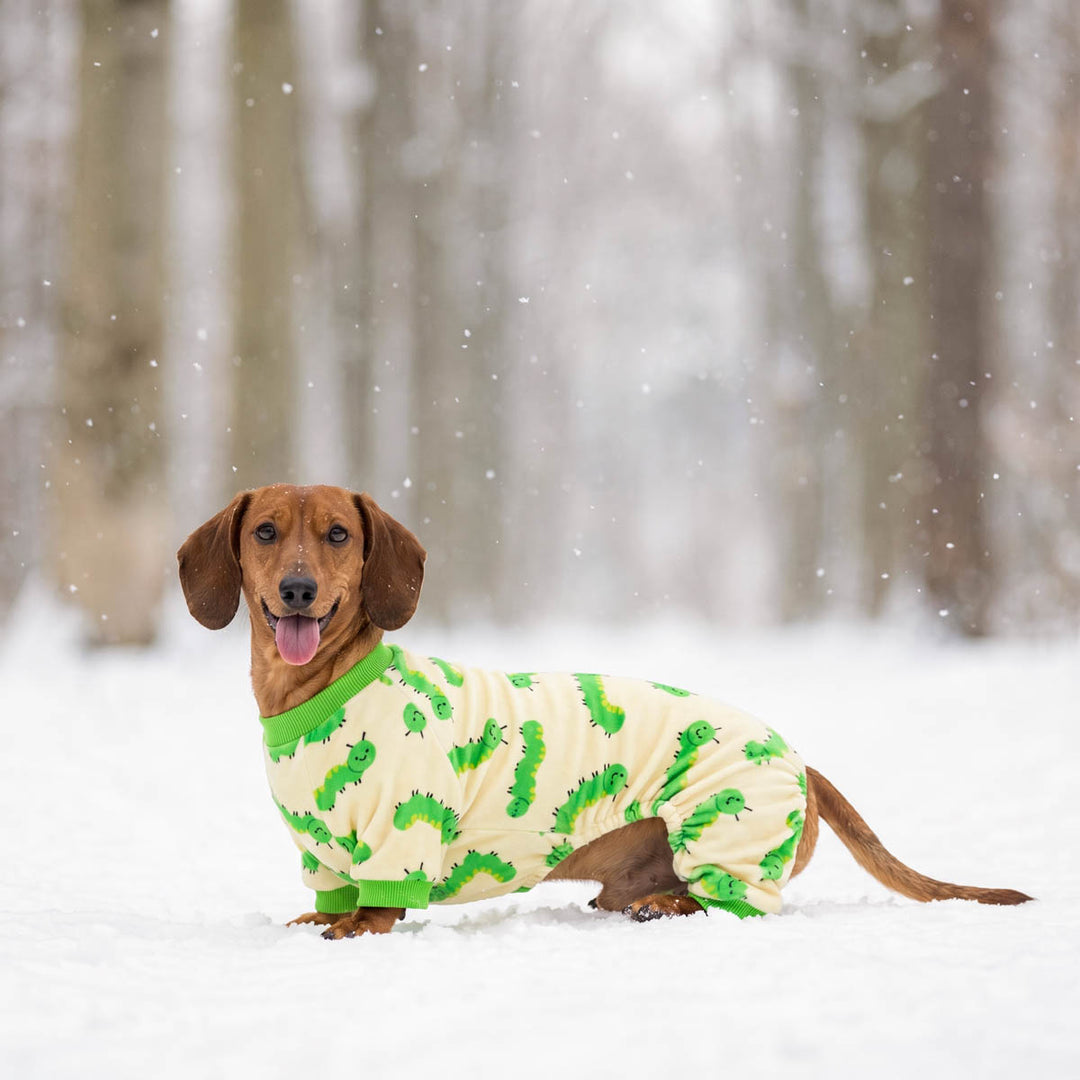 Dachshund standing in the snow with a cozy dog jammies