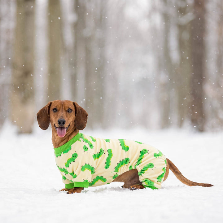 Dachshund standing in the snow with a cozy dog jammies