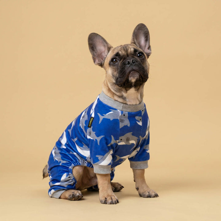 Small dog sitting in a beige with a dog fleece onesie design in shark prints