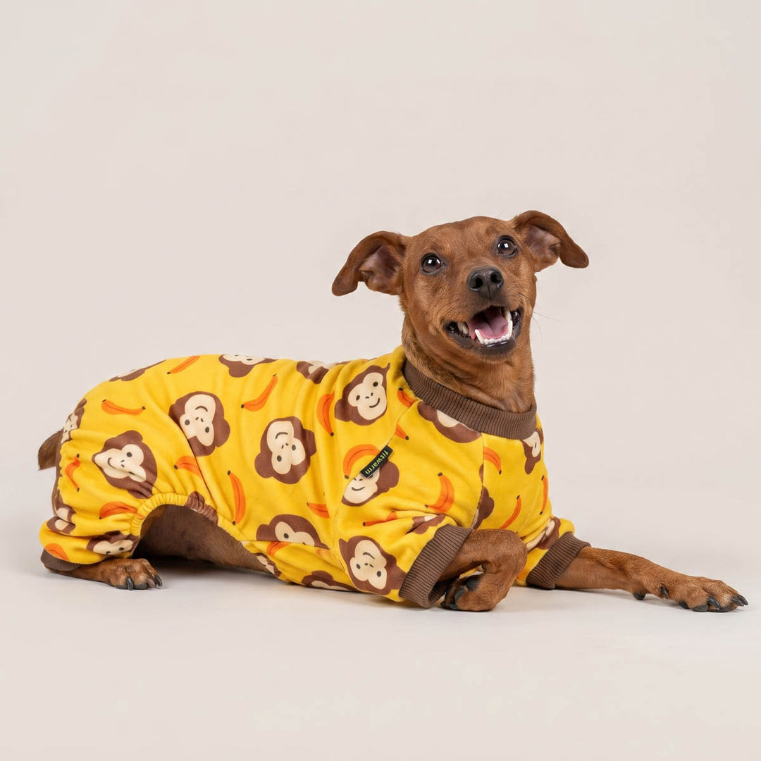 Small dog wearing a dog pjs with monkey and banana prints and lying on the ground