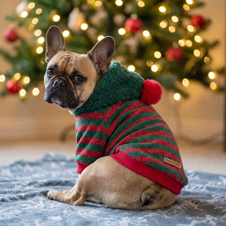 French Bulldog sitting ahead of Christmas tree with a pom pom hoodie for dogs with red and green stripes