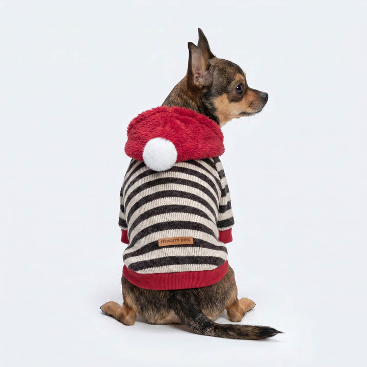 Back view of Chihuahua wearing a pom pom striped dog hoodie