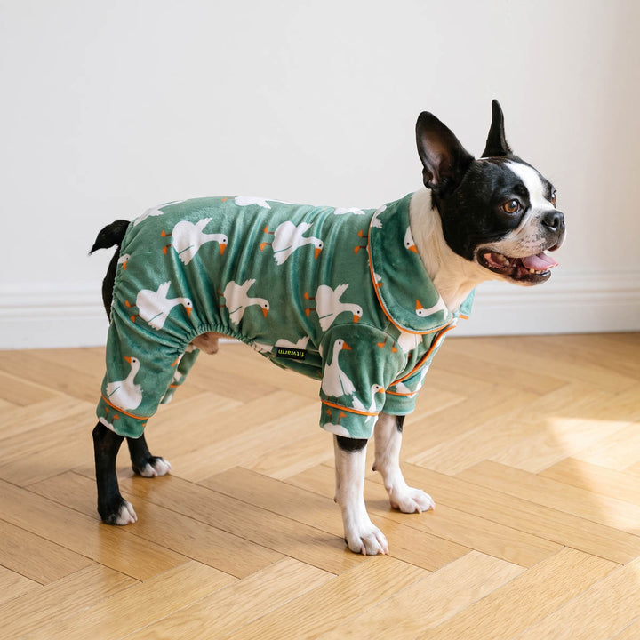 Boston Terrier wearing a green long-sleeve pajama set with a white duck pattern, standing on a light wood herringbone floor