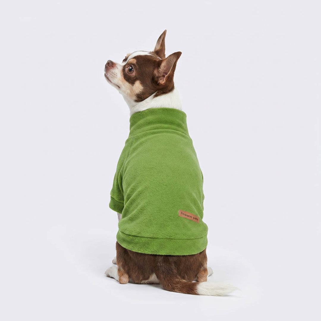 Back view of Chihuahua wearing a turtleneck dog fleece sweater