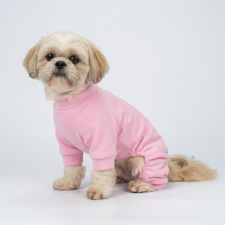 Small dog wearing a pink pajamas for dogs on a white background
