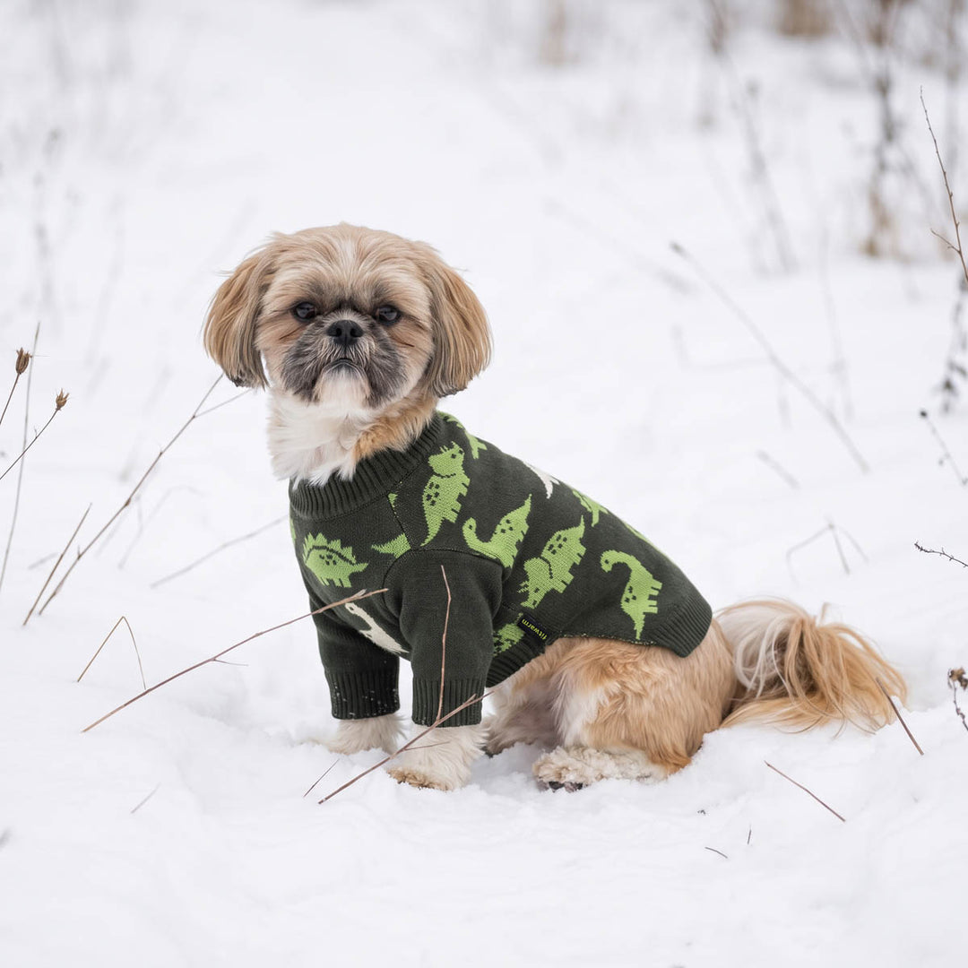 Small tan and white dog sitting in the snow, wearing a dark green dog knit sweater with a light green dinosaur pattern