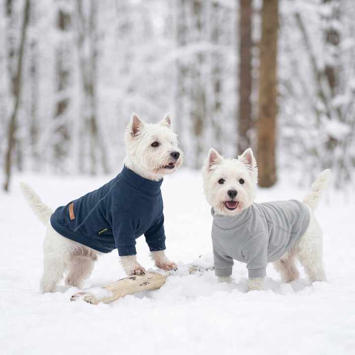 Two small white dogs standing in the snow wearing cozy dog wintersweaters, one in navy blue and one in light gray, with a snowy forest in the background