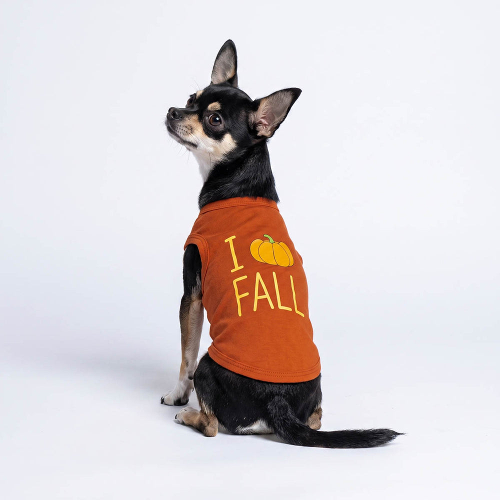 Chihuahua dog wearing an orange shirt for dogs with yellow 'I Love Fall' text and a pumpkin graphic, photographed against a clean white studio background