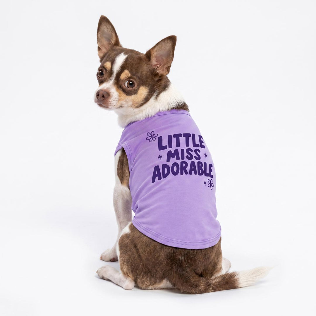 Back view of Chihuahua wearing a purple dog tank top with 'Little miss adorable' lettering