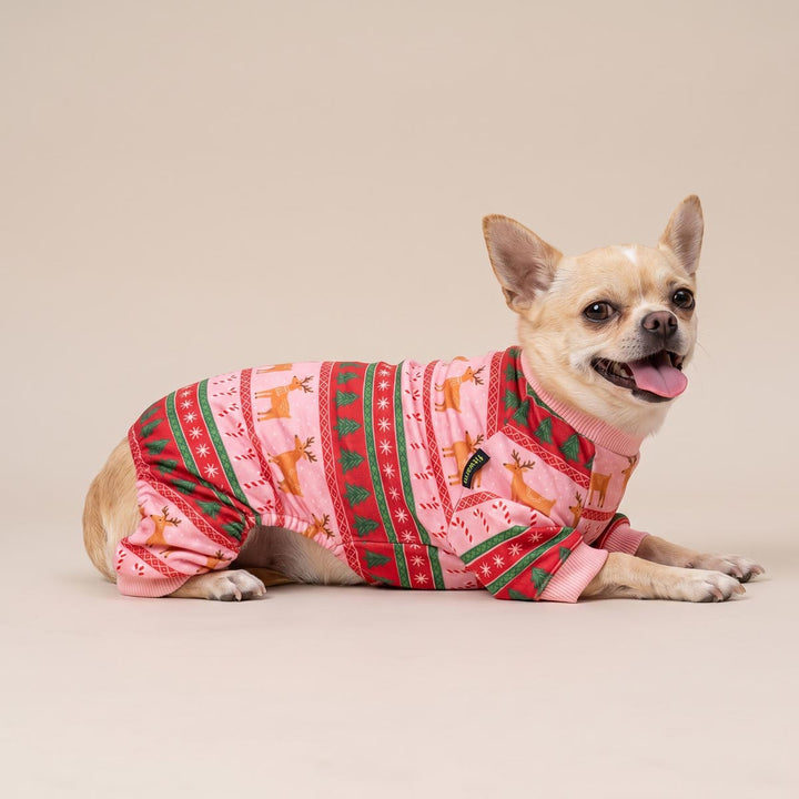 Chihuahua lying on a plain beige studio background with a pink holiday-themed dog onesie