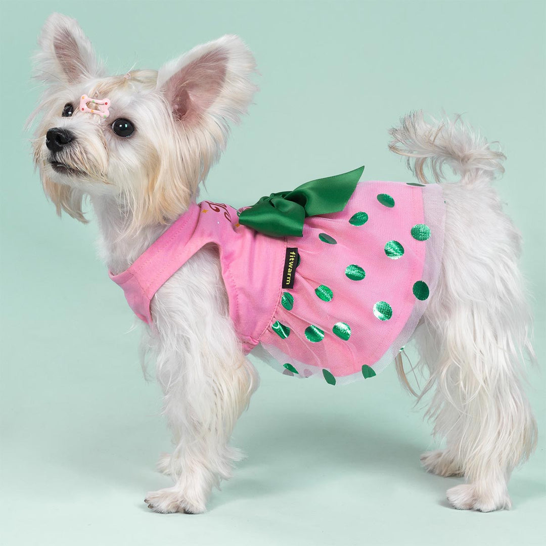 Small white dog wearing a pink and green Christmas dog dress with shiny polka dots and a bow