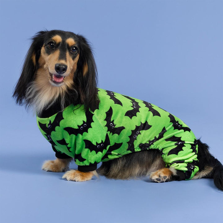 Dachshund wearing bright green dog pajamas with black bat prints for a spooky Halloween look